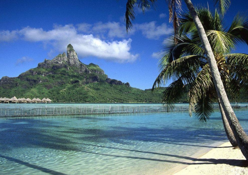 How to Fall in love with the Summer Season&nbsp;(2023)